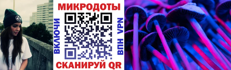 Псилоцибиновые грибы Cubensis  Ленинградская 
